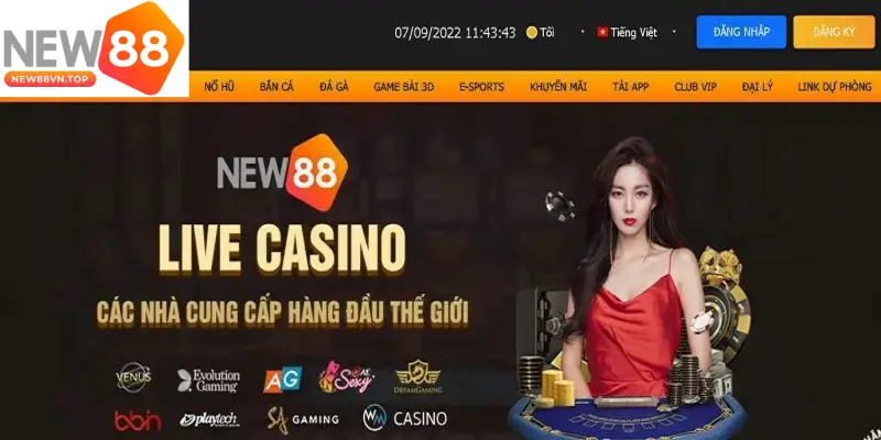 nam ro cac truong hop new88 ap dung chinh sach mien tru