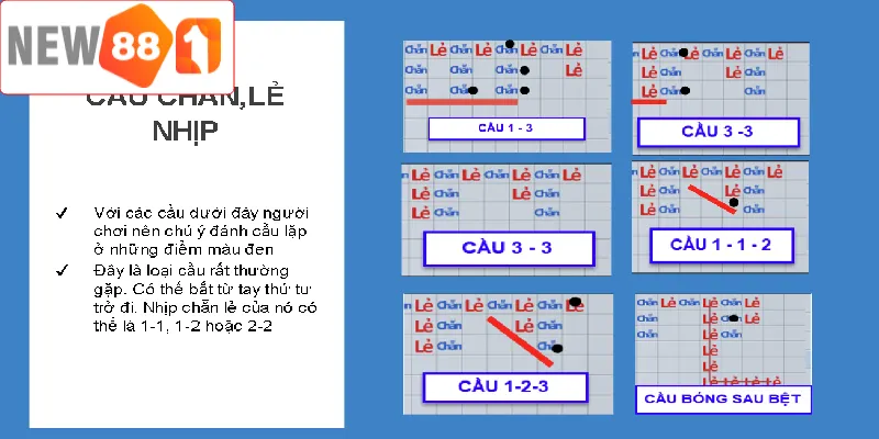 Quan sát bảng lịch sử kết quả là cách bắt cầu xóc đĩa chuẩn chỉnh